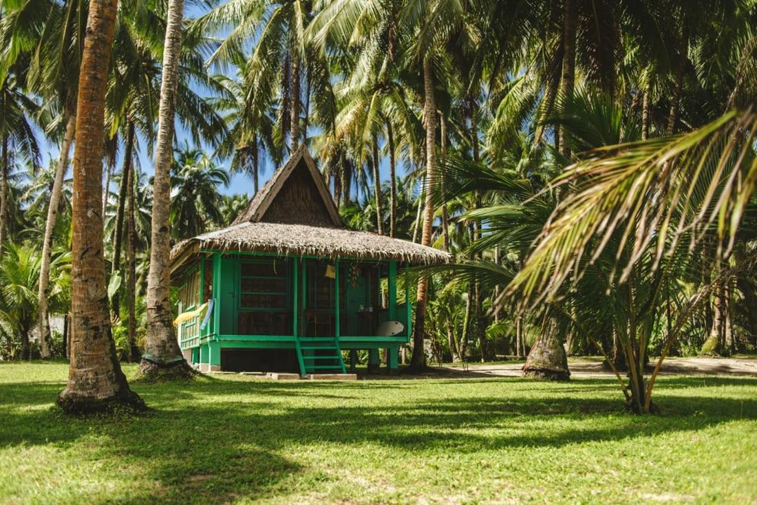 Pacifico Bigwish Beach Resort San Isidro  Exteriör bild